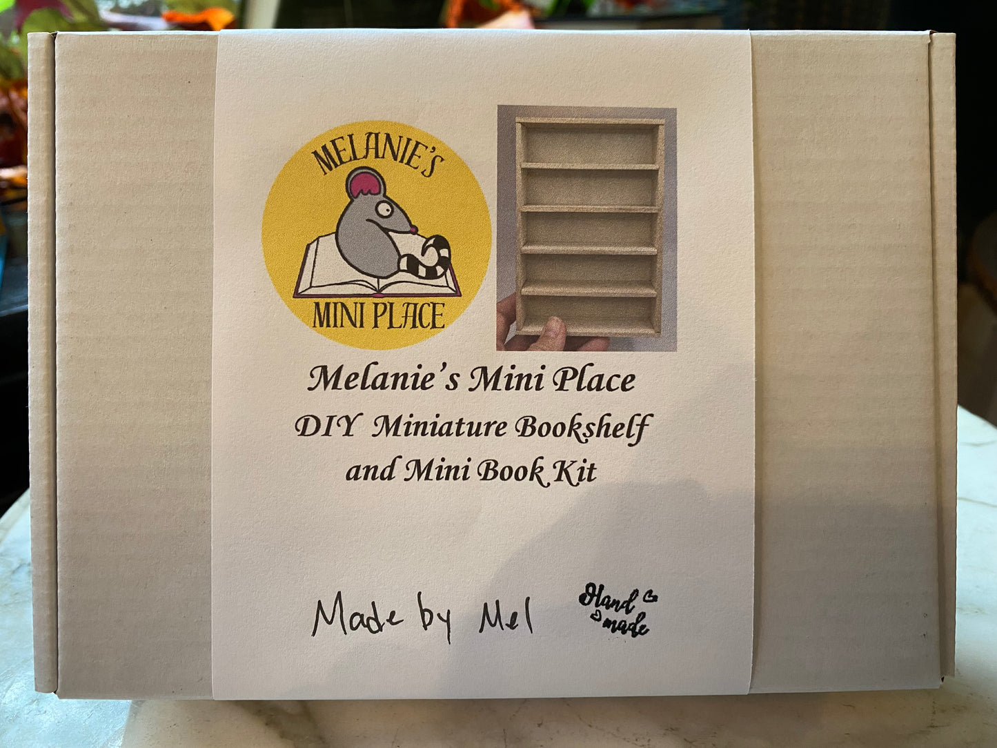 Melanie's Mini DIY Miniature Bookshelf and Mini Book Kit