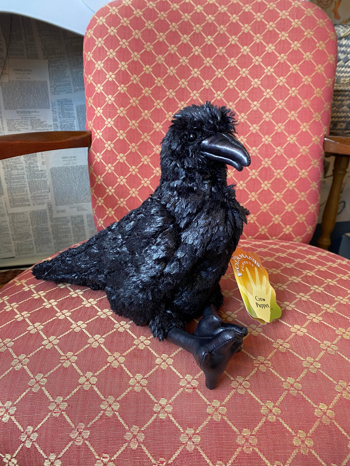 Crow Puppet