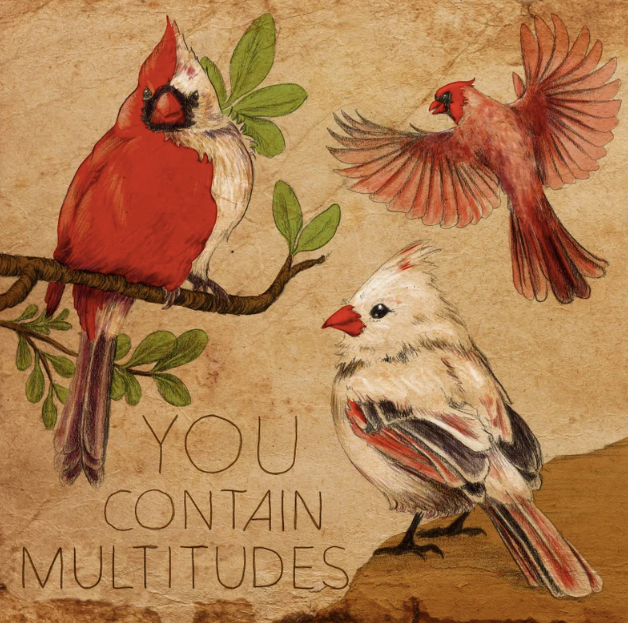 Cardinals - You Contain Multitudes