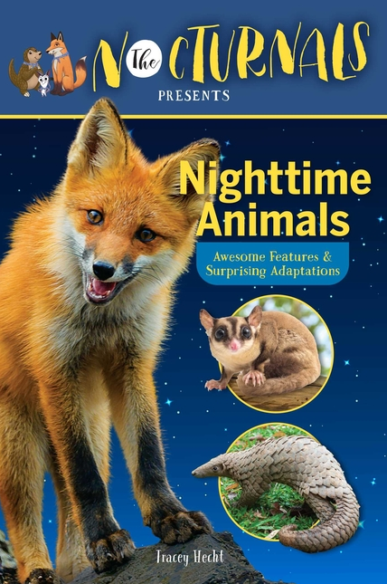 Nighttime Animals