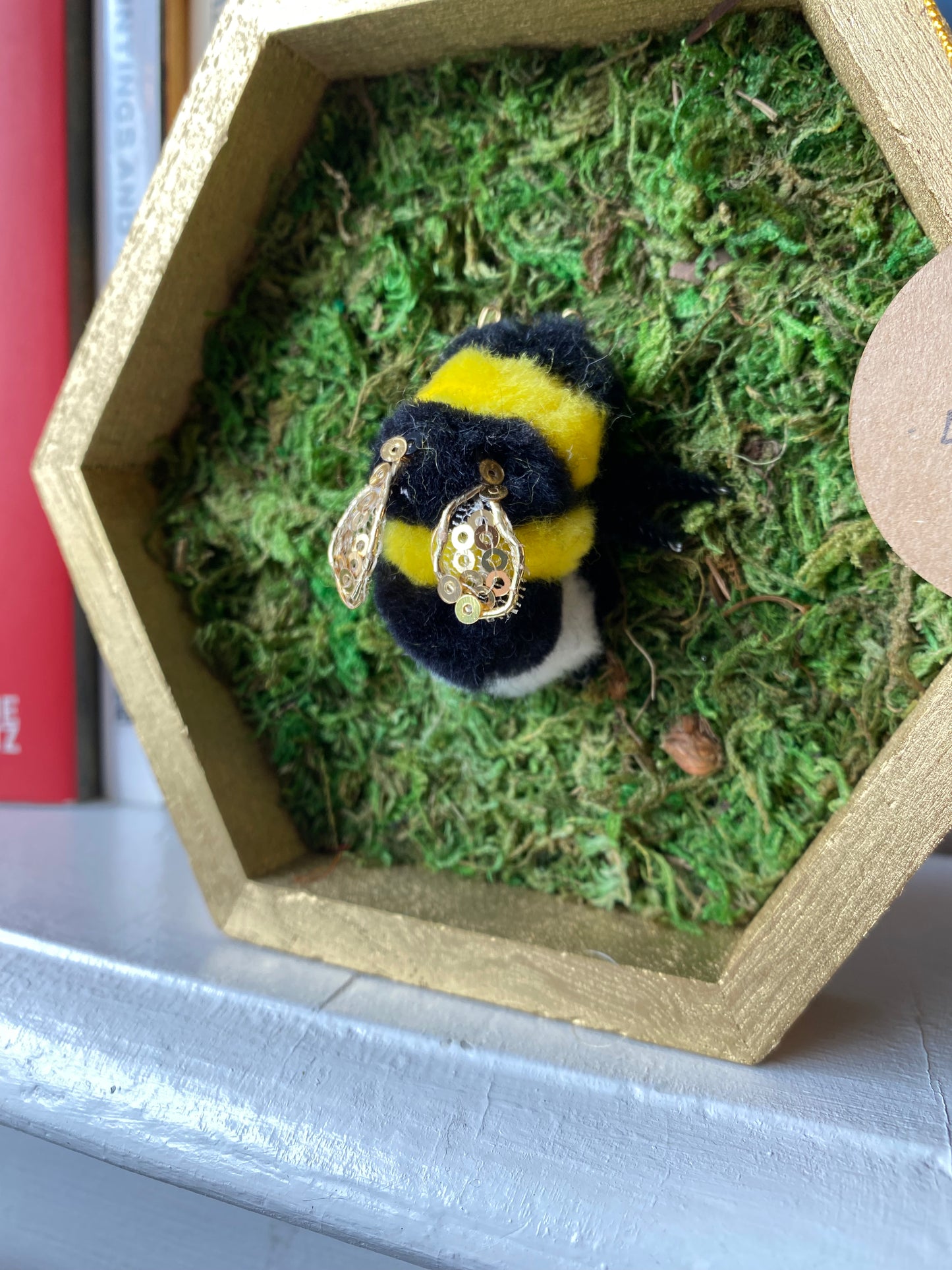 Bombus Locorum