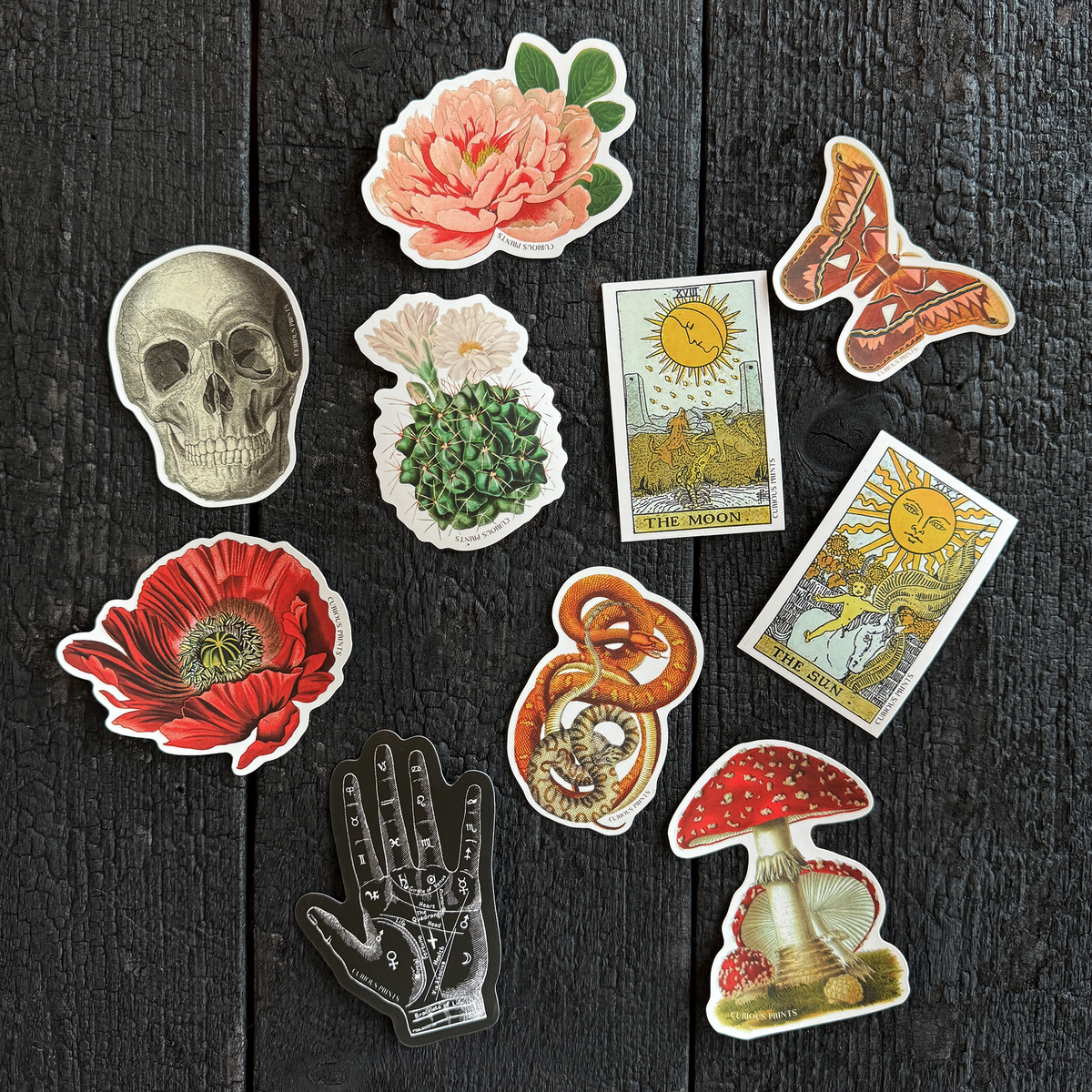 Vintage Palm Reader Mystical Waterproof Sticker