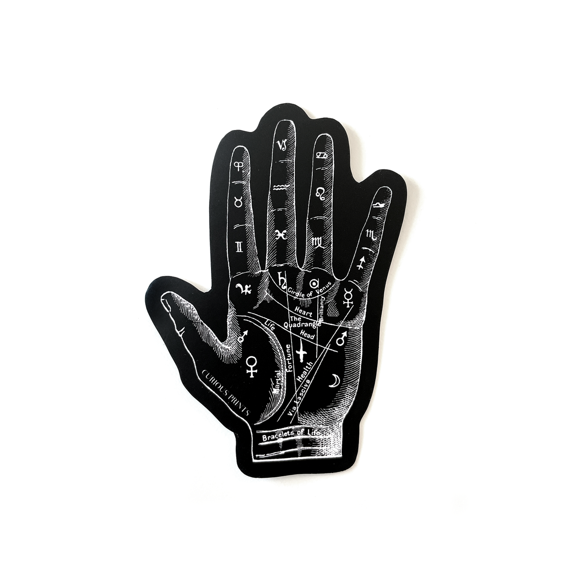 Vintage Palm Reader Mystical Waterproof Sticker