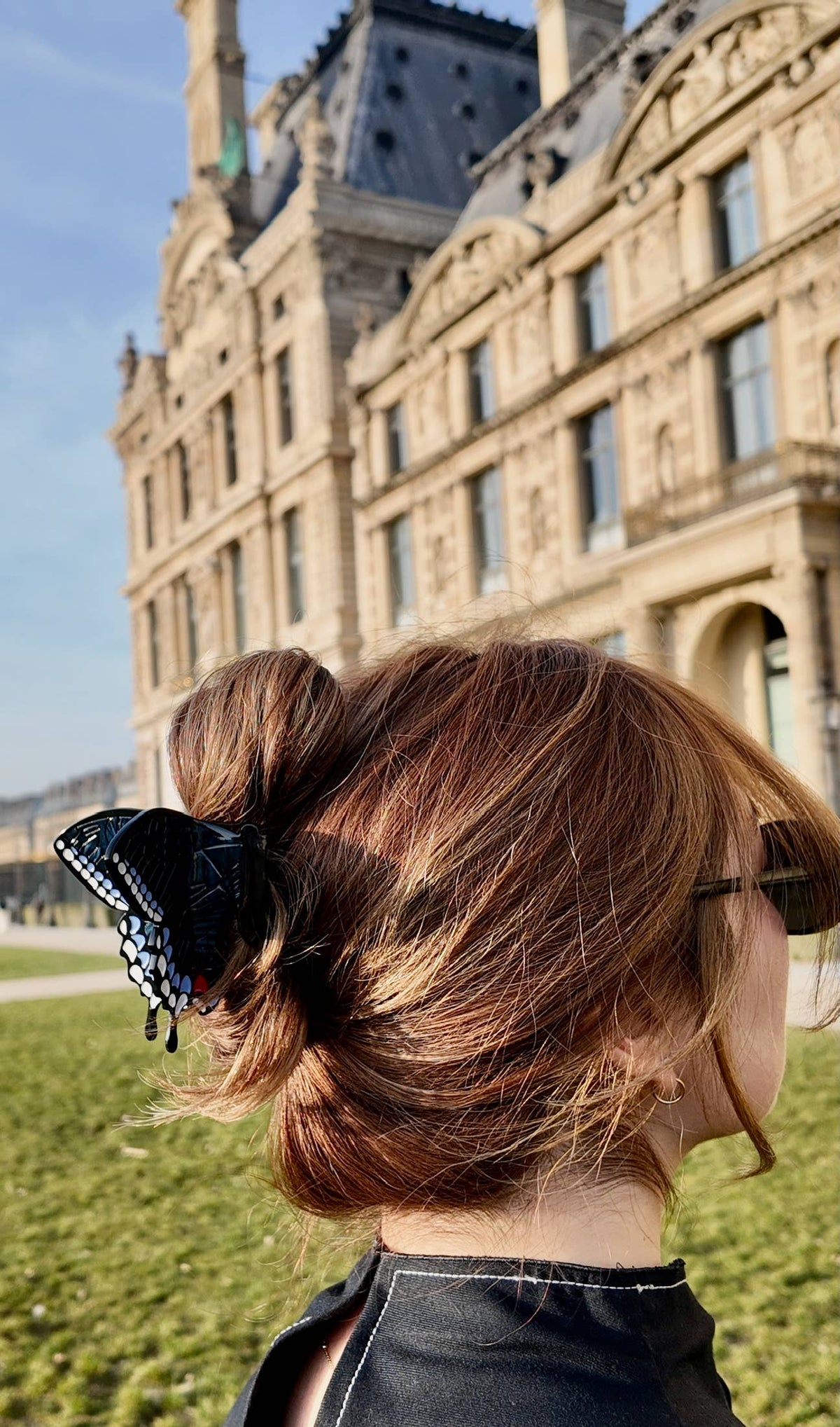 Hand-Painted Swallowtail Butterfly Claw Hair Clip