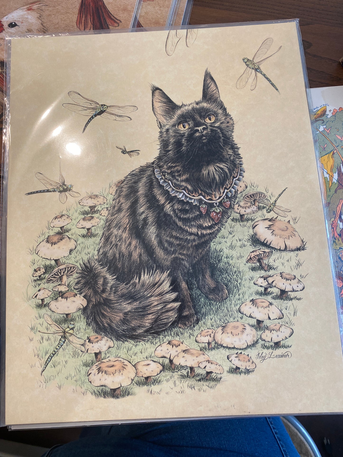 Black Cat and Mushrooms