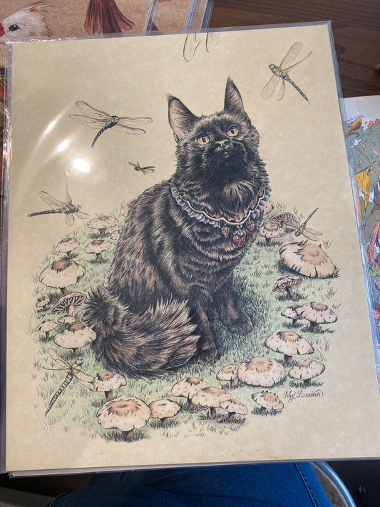 Black Cat and Mushrooms