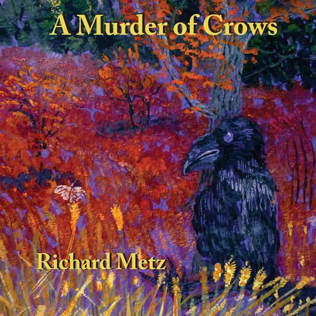 A murder of crows