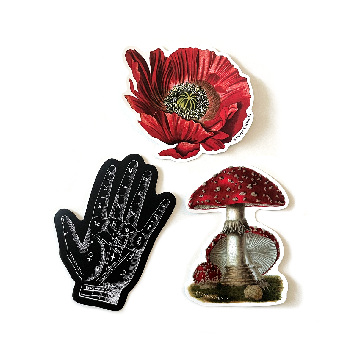 Vintage Palm Reader Mystical Waterproof Sticker