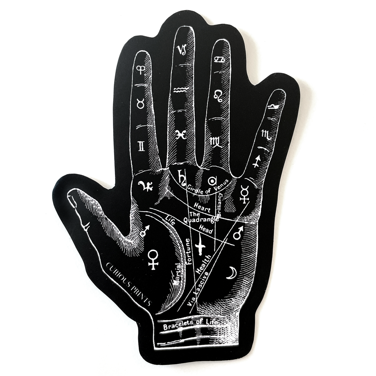 Vintage Palm Reader Mystical Waterproof Sticker